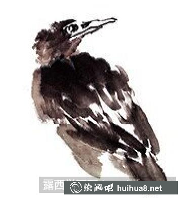 國畫教程鳥類之八哥 國畫教程鳥類之八哥