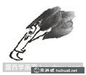 國(guó)畫教程鳥類之山鷹