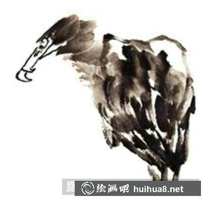 國(guó)畫教程鳥類之山鷹