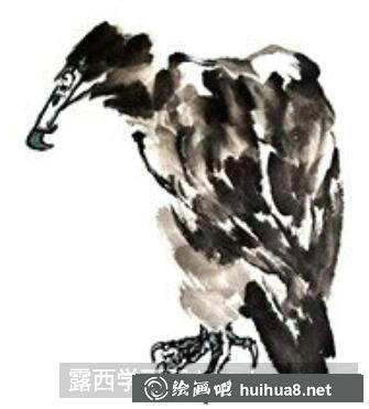 國(guó)畫教程鳥類之山鷹