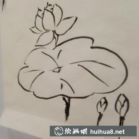 荷花的畫法