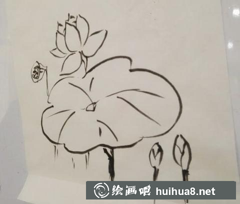 荷花的畫法