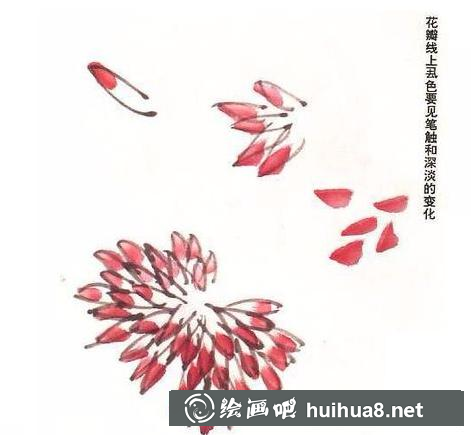 菊花的畫法