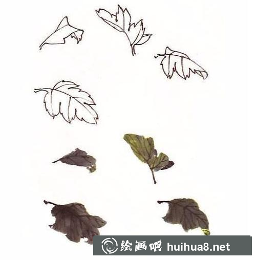 菊花的畫法