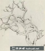 白描紫藤畫(huà)法教程全解析