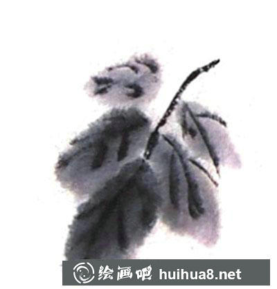 國(guó)畫教程之凌霄花