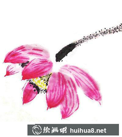 怎么畫(huà)國(guó)畫(huà)荷花
