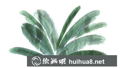 國畫教程：怎么畫君子蘭