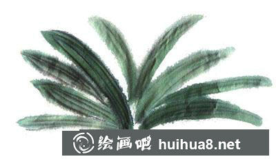 國畫教程：怎么畫君子蘭
