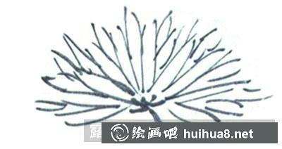 國畫教程-怎么畫鄒菊