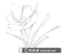 水粉畫教程番紅花繪制方法