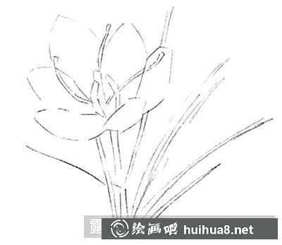 水粉畫教程：番紅花