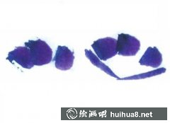 國(guó)畫(huà)教程牽?；ɡL制技巧