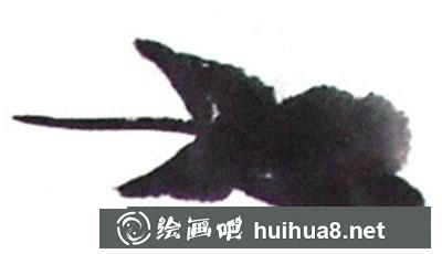 國畫教程：蝦的繪制方法