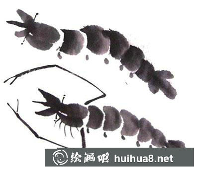 國畫教程：蝦的繪制方法