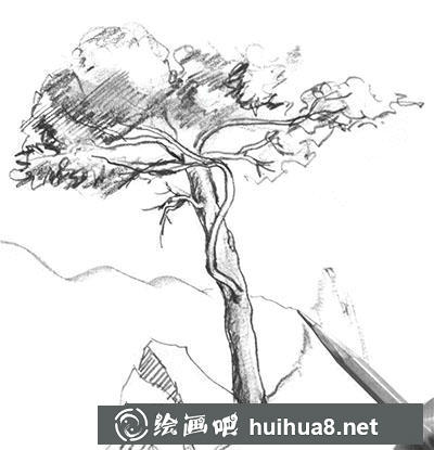 速寫風景：怎么畫松樹