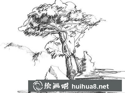 速寫風景：怎么畫松樹