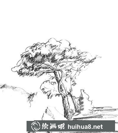 速寫風景：怎么畫松樹