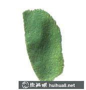 國畫青椒繪制技巧