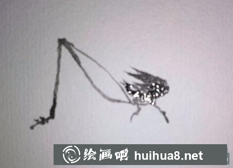 蛐蛐的畫法