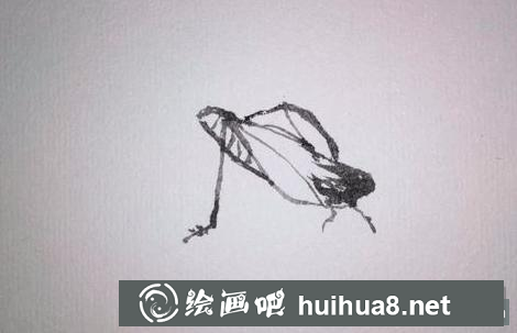 蛐蛐的畫法