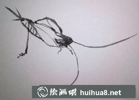蛐蛐的畫法