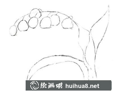 水粉畫教程之怎么畫鈴蘭花