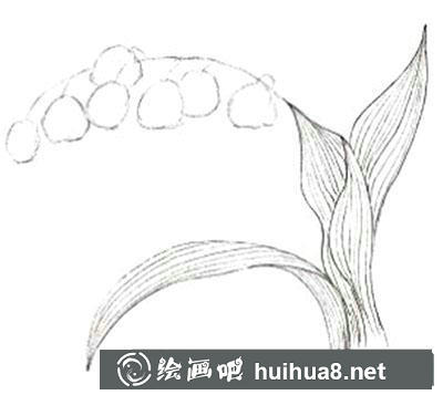 水粉畫教程之怎么畫鈴蘭花