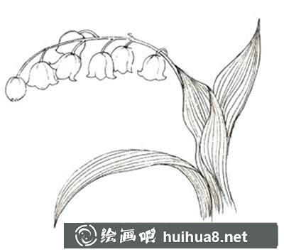 水粉畫教程之怎么畫鈴蘭花