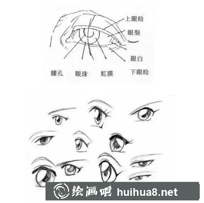 速寫五官