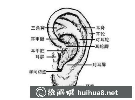 速寫五官
