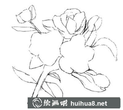 水粉畫(huà)教程：海棠花的繪制步驟