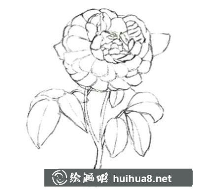 水粉畫教程：玫瑰花的繪制方法