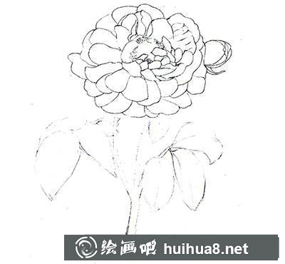 水粉畫教程：玫瑰花的繪制方法