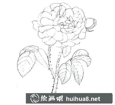 水粉畫教程：玫瑰花的繪制方法