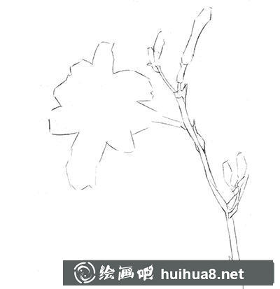 水粉畫教程-萱草的繪制方法