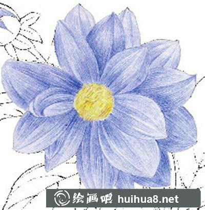水粉畫教程：怎么畫大麗菊