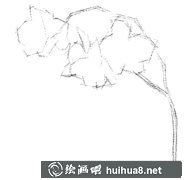 水粉蘭花繪制技巧教程