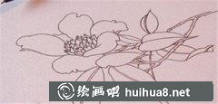 丙烯畫教程：畫茶花步驟解析