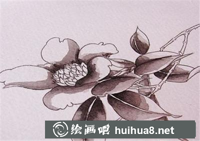 如何畫茶花