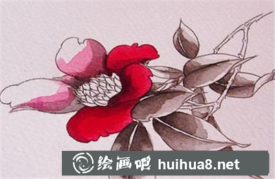 如何畫茶花