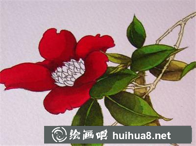 如何畫茶花