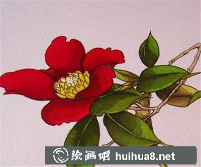 如何畫茶花