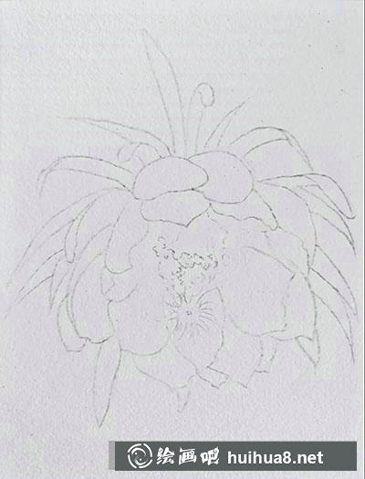 水彩畫教程：曇花繪制方法