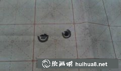 國畫貓畫教程入門技巧