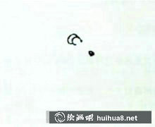 國(guó)畫(huà)教程老鼠繪制步驟