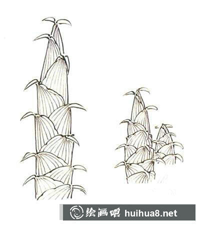 國(guó)畫(huà)教程：白描竹子繪制要點(diǎn)