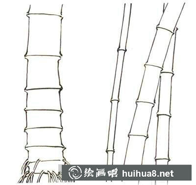 國(guó)畫(huà)教程：白描竹子繪制要點(diǎn)