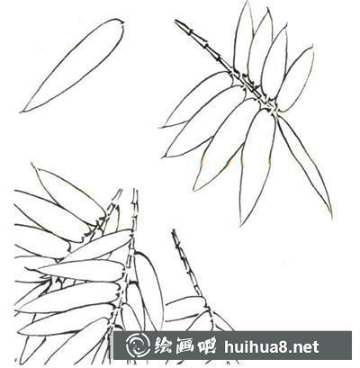 國(guó)畫(huà)教程：白描竹子繪制要點(diǎn)