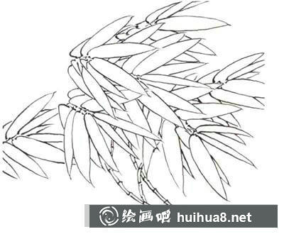 國(guó)畫(huà)教程：白描竹子繪制要點(diǎn)
